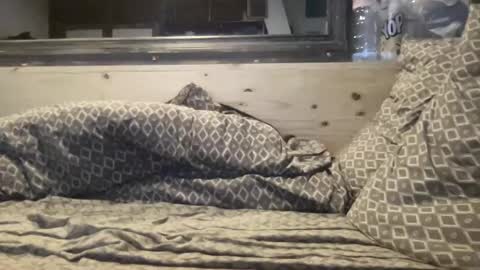 Snapshot of crapaud75018 chatting on January 2025 06:20:01 AM crapaud75018 online show from January 2025 06:20:01 AM