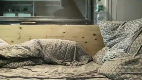 Snapshot of crapaud75018 chatting on November 2025 08:49:01 PM crapaud75018 online show from November 2025 08:49:01 PM