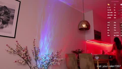 Snapshot of crazybabyyy chatting on January 2025 07:49:01 PM Valeri Val online show from January 2025 07:49:01 PM