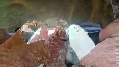Crazycock online show from July 2026 05:06:02 PM