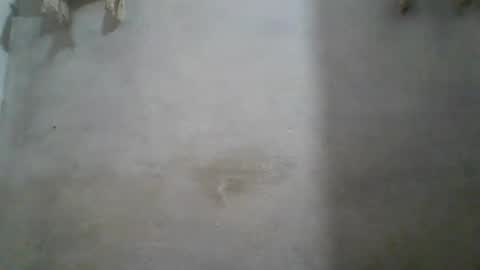crazzy_booy online show from June 2026 04:32:02 AM