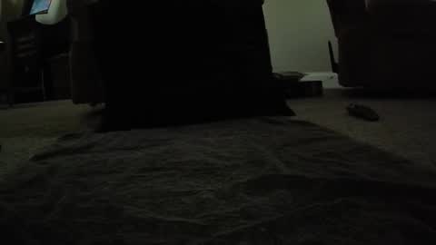 creature__cumfort online show from June 2026 12:11:01 AM