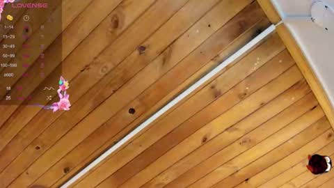 Cristal online show from September 2025 04:25:02 AM