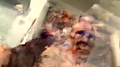 critterick6674 online show from March 2026 11:27:02 PM