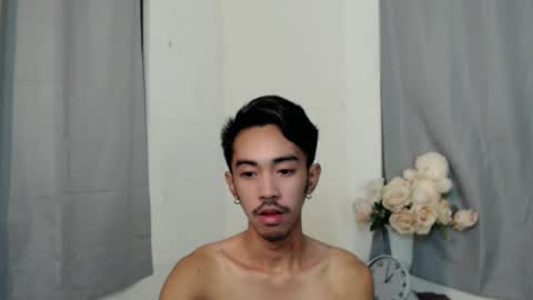 crocodale online show from October 2025 10:36:02 AM