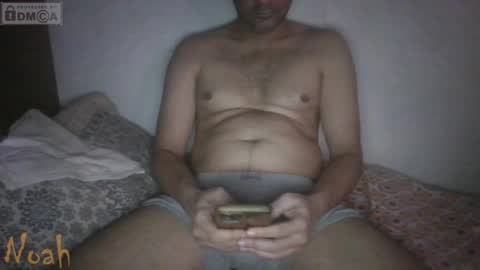 Noha online show from April 2026 12:38:02 PM