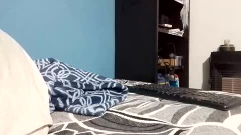 cumbian_chero online show from February 2026 11:07:02 AM