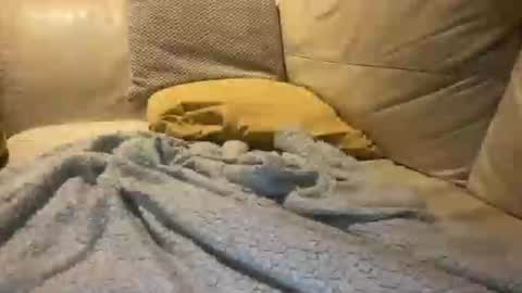 Snapshot of cumfar1985 chatting on December 2025 02:39:01 AM Cumfar online show from December 2025 02:39:01 AM