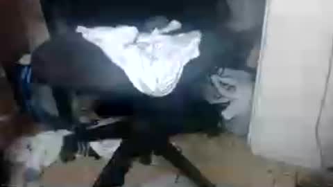 XXXBIGBLACKDICCK online show from June 2026 03:19:02 AM