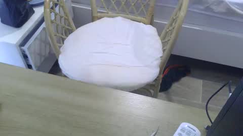 cumtowa online show from October 2025 05:04:02 AM