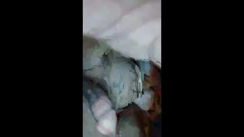 Snapshot of cumsinmealot chatting on September 2025 10:51:02 AM Aprilia online show from September 2025 10:51:02 AM