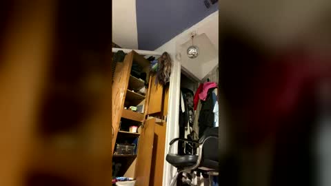 Snapshot of cumsinmealot chatting on February 2026 09:35:01 PM Aprilia online show from February 2026 09:35:01 PM