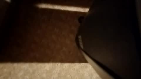 cumwith_me80 online show from April 2026 09:31:01 AM