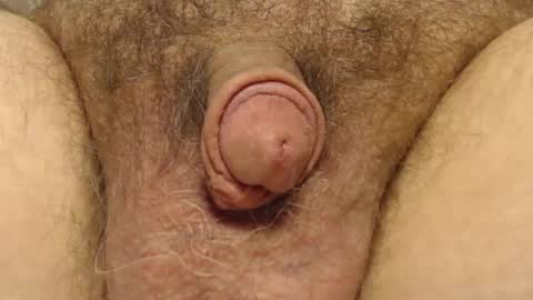 Snapshot of curve66 chatting on February 2025 04:25:01 PM curve66 online show from February 2025 04:25:01 PM