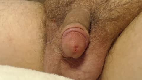 Snapshot of curve66 chatting on October 2025 12:55:02 AM curve66 online show from October 2025 12:55:02 AM