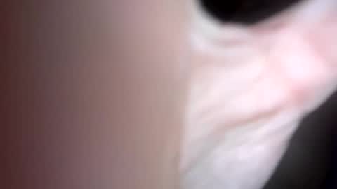 Snapshot of curvy24777 chatting on February 2025 06:10:02 AM curvy24777 online show from February 2025 06:10:02 AM