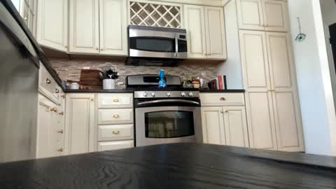 Snapshot of curvyd454066 chatting on February 2026 08:19:02 PM curvyd454066 online show from February 2026 08:19:02 PM