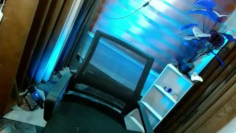 BBY CURLYHANNA online show from May 2026 12:55:02 PM