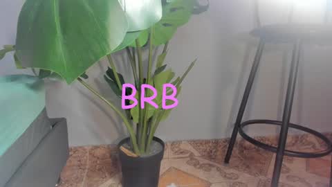 Stacy online show from December 2024 08:30:02 AM