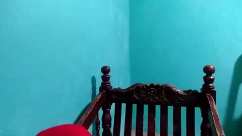 Snapshot of cutechey06 chatting on January 2025 09:09:02 PM Sky online show from January 2025 09:09:02 PM