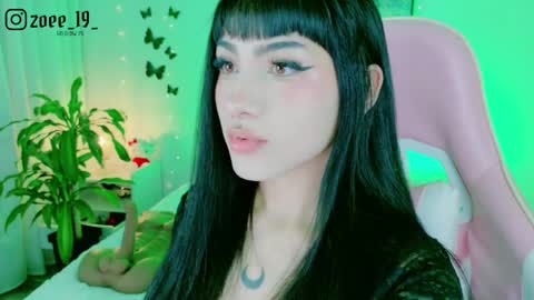 Zoe  online show from May 2026 02:40:02 AM
