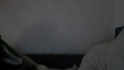 Snapshot of cutekattie chatting on December 2024 08:00:02 AM cutekattie online show from December 2024 08:00:02 AM