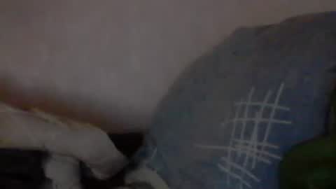 Snapshot of cutekattie chatting on January 2025 03:58:01 AM cutekattie online show from January 2025 03:58:01 AM