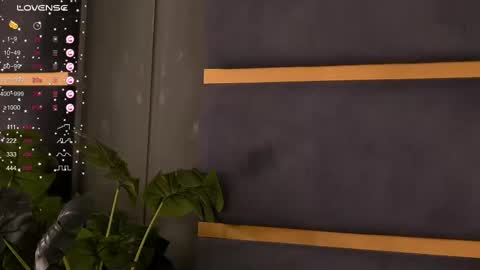 Ivy online show from February 2025 04:08:02 AM