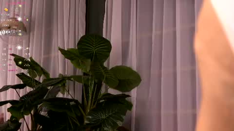 Ivy online show from July 2026 03:35:02 AM