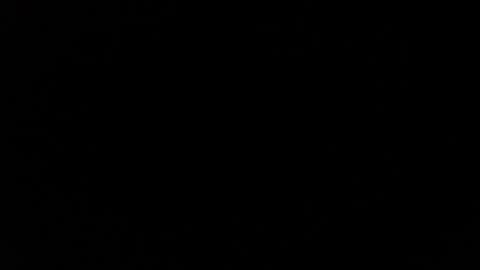 Snapshot of dabirdfree chatting on December 2024 10:30:01 PM Destroyer online show from December 2024 10:30:01 PM