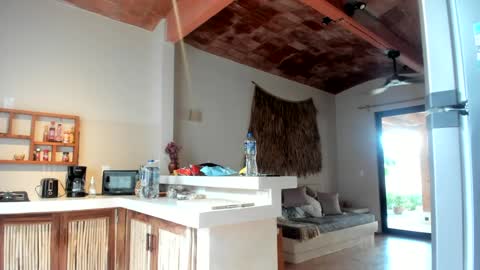 Snapshot of daddy_daycare_ chatting on March 2025 01:45:01 PM Belle Email daddydaycarecb online show from March 2025 01:45:01 PM