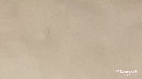 Snapshot of daddybigwhitecock chatting on September 2025 10:05:01 AM Tommy online show from September 2025 10:05:01 AM