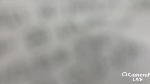 Snapshot of daddybigwhitecock chatting on November 2025 01:24:01 PM Tommy online show from November 2025 01:24:01 PM