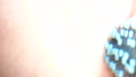 Snapshot of daddydigbick87 chatting on October 2025 08:16:02 AM daddydigbick87 online show from October 2025 08:16:02 AM