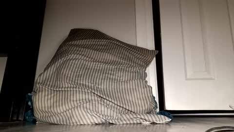 daddyplumber1 online show from December 2025 05:14:02 AM