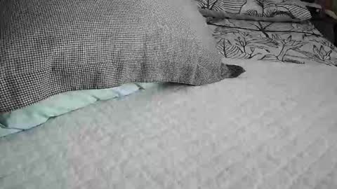 daddyslittleebony online show from April 2026 09:13:01 AM