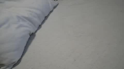 daddyslittleebony online show from May 2026 09:48:02 AM