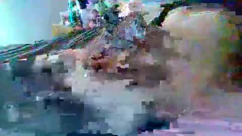 Snapshot of dafo1980 chatting on February 2026 02:59:01 PM dafo1980 online show from February 2026 02:59:01 PM