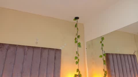 Dahlia online show from March 2026 08:47:02 AM