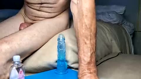 daileyrobert15 online show from April 2026 07:56:01 AM