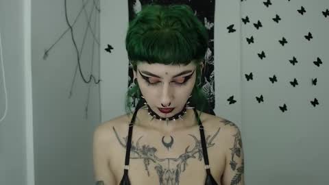 Snapshot of dakota_krall_ chatting on December 2024 02:42:01 AM dakota online show from December 2024 02:42:01 AM