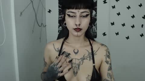 Snapshot of dakota_krall_ chatting on February 2025 06:23:01 AM dakota online show from February 2025 06:23:01 AM