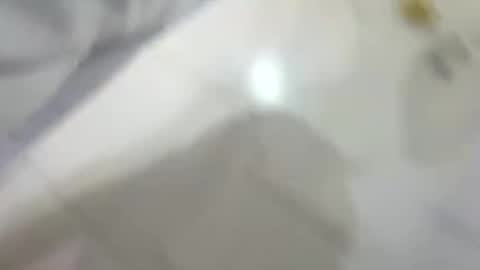 Snapshot of dakovid33 chatting on January 2026 07:30:01 PM dakovid33 online show from January 2026 07:30:01 PM