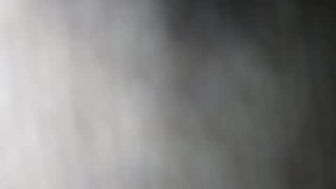 Snapshot of daliaapril22 chatting on January 2026 07:41:01 PM Dalia April online show from January 2026 07:41:01 PM