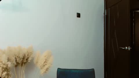 Snapshot of dalidayes chatting on September 2025 05:40:01 AM Dali online show from September 2025 05:40:01 AM