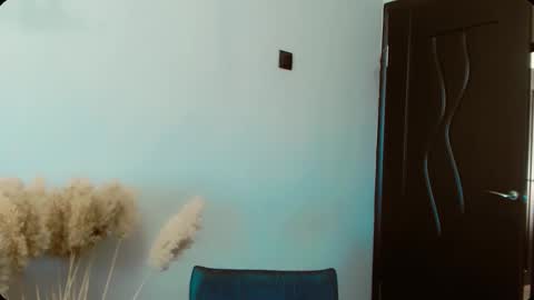 Snapshot of dalidayes chatting on February 2026 06:09:02 AM Dali online show from February 2026 06:09:02 AM