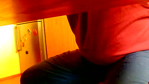 Snapshot of dammerl6 chatting on January 2025 10:48:02 AM Dammerl online show from January 2025 10:48:02 AM