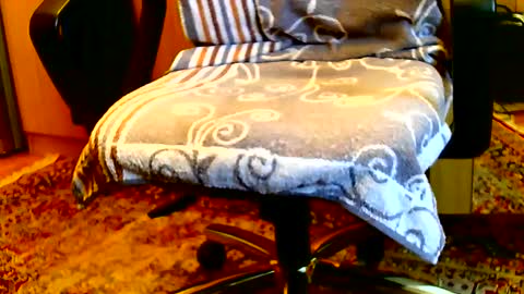 Snapshot of dammerl6 chatting on January 2025 08:20:01 AM Dammerl online show from January 2025 08:20:01 AM