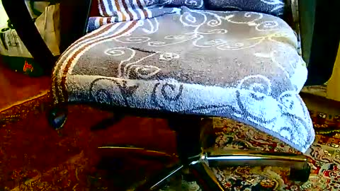 Snapshot of dammerl6 chatting on January 2025 01:24:02 PM Dammerl online show from January 2025 01:24:02 PM