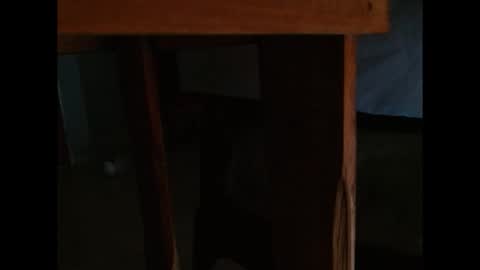 dangerhook online show from November 2025 11:32:02 AM